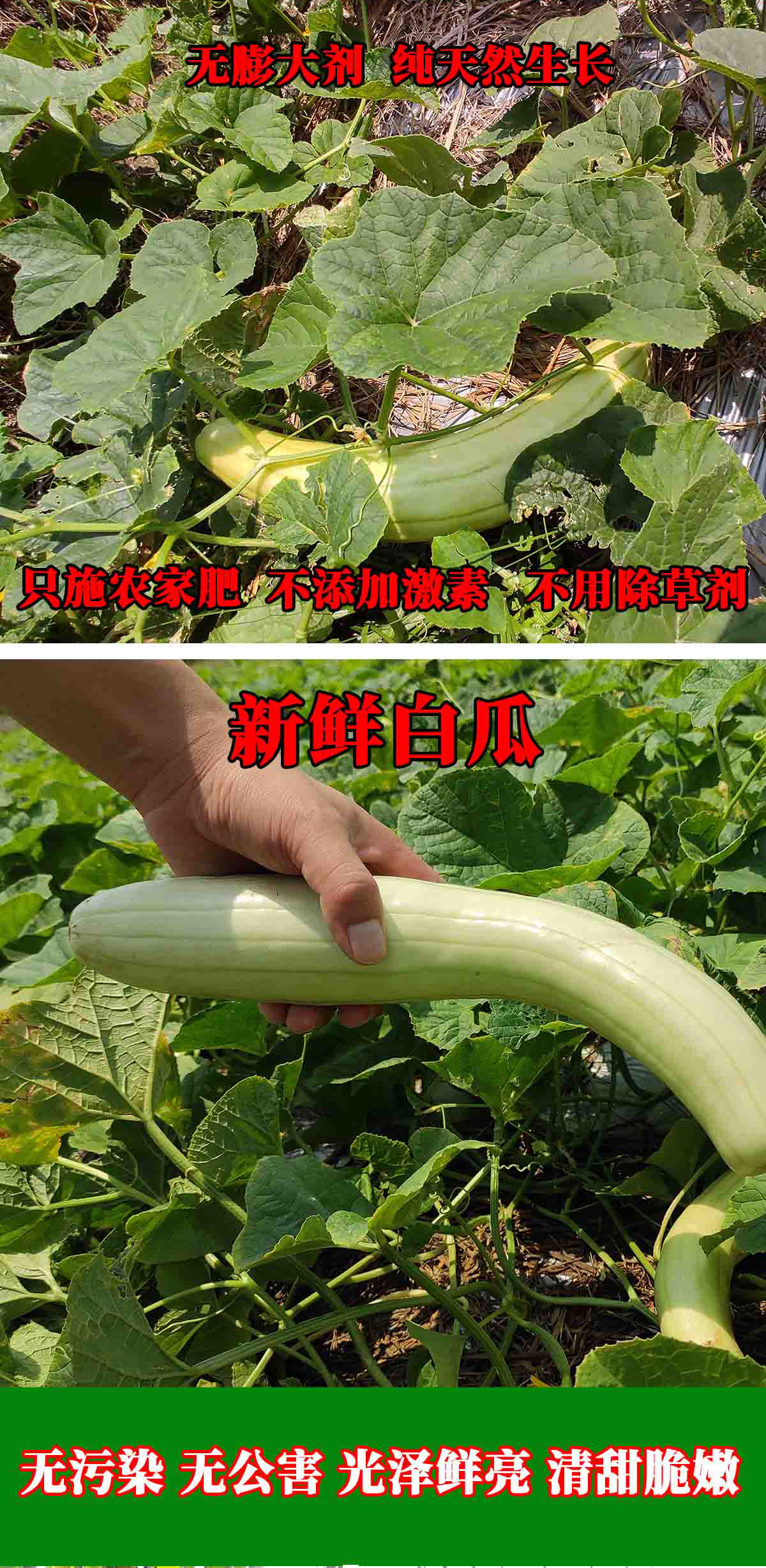 ޹л߲4