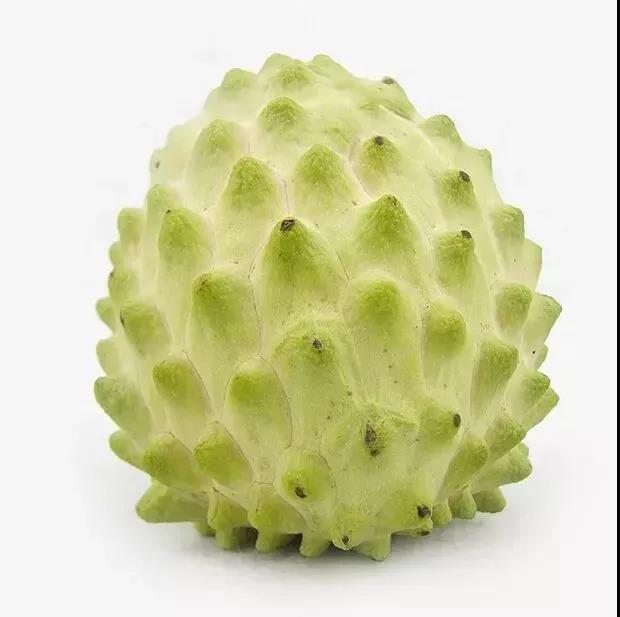 ΢ͼƬ_20210926114321.jpg