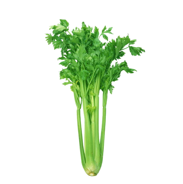 .png