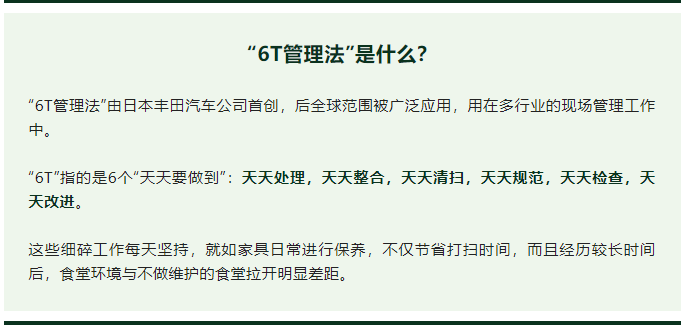 6t