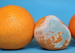 ʳΪʲôʣ²Щ